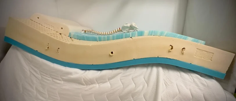 WhatsApp Image 2026-01-29 at 10.28.56 (3)